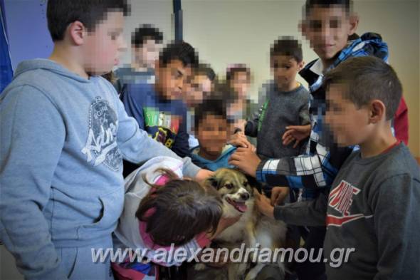 Η &quot;Θεραπευτική Αγκαλιά&quot; και οι Ζω.Ε.Σ. στο Ειδικό Δημοτικό Σχολείο Αλεξάνδρειας!