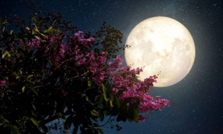 Πανσέληνος Μαΐου: Γιατί ονομάζεται «Φεγγάρι των Λουλουδιών»