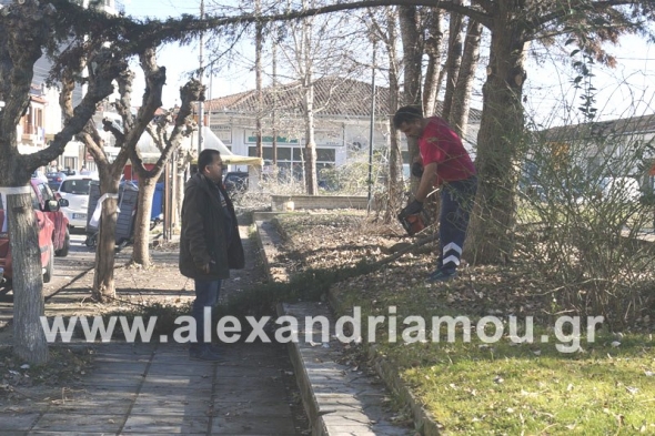 Παρεμβάσεις του Δήμου Αλεξάνδρειας περιμετρικά της Πλατείας ΟΣΕ