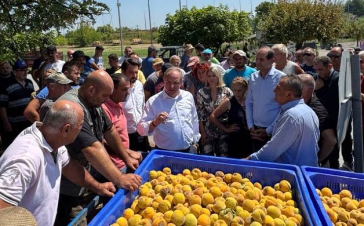 Στις πληγείσες από χαλαζόπτωση περιοχές της Ημαθίας ο ΥφΑΑΤ, Διονύσης Σταμενίτης