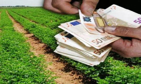 Αγρότης θα έπαιρνε… επιδότηση σχεδόν 14 εκατ. ευρώ -Τι συνέβη