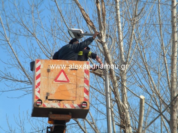 Κοπή δέντρου επικίνδυνου για την κυκλοφορία οχημάτων στο Καμποχώρι